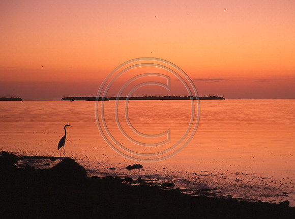 Sunrise over Florida Bay