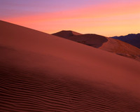 Mojave