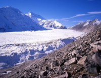 Pioneer Trail - Denali