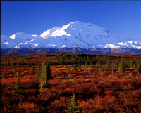Pioneer Trail - Denali