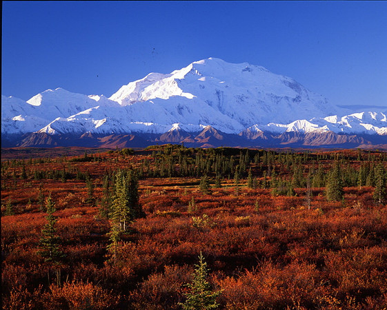 Pioneer Trail - Denali