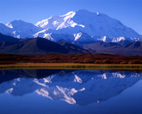 Pioneer Trail - Denali