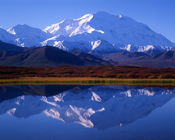 Pioneer Trail - Denali