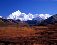 Pioneer Trail - Denali