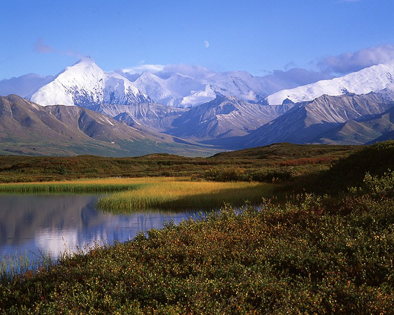 Pioneer Trail - Denali