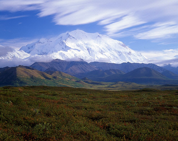 Pioneer Trail - Denali