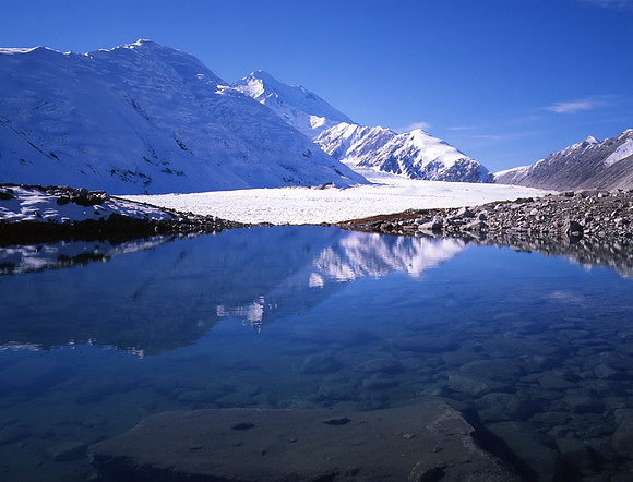 Pioneer Trail - Denali