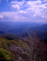 View from Mt Cammerer Lookout
