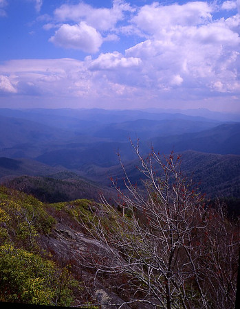 View from Mt Cammerer Lookout