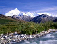 Pioneer Trail - Denali