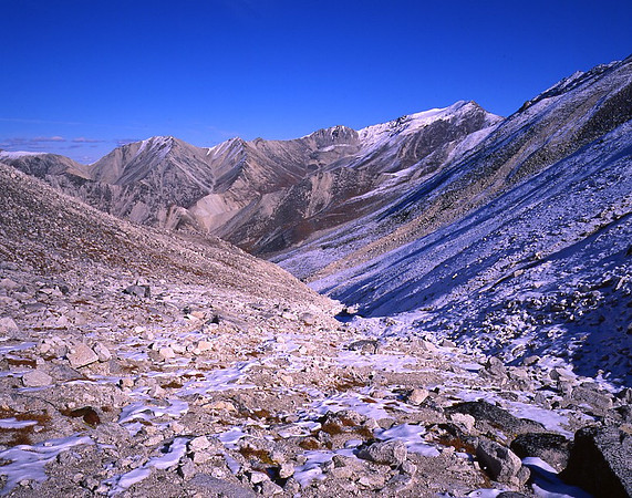 Pioneer Trail - Denali