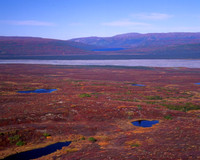 Pioneer Trail - Denali