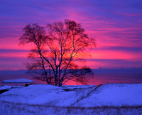 Wisconsin