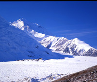 Pioneer Trail - Denali