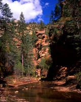 West Fork - Oak Creek Canyon