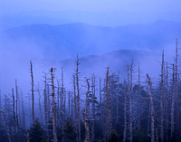 Great Smoky Mountains National Park